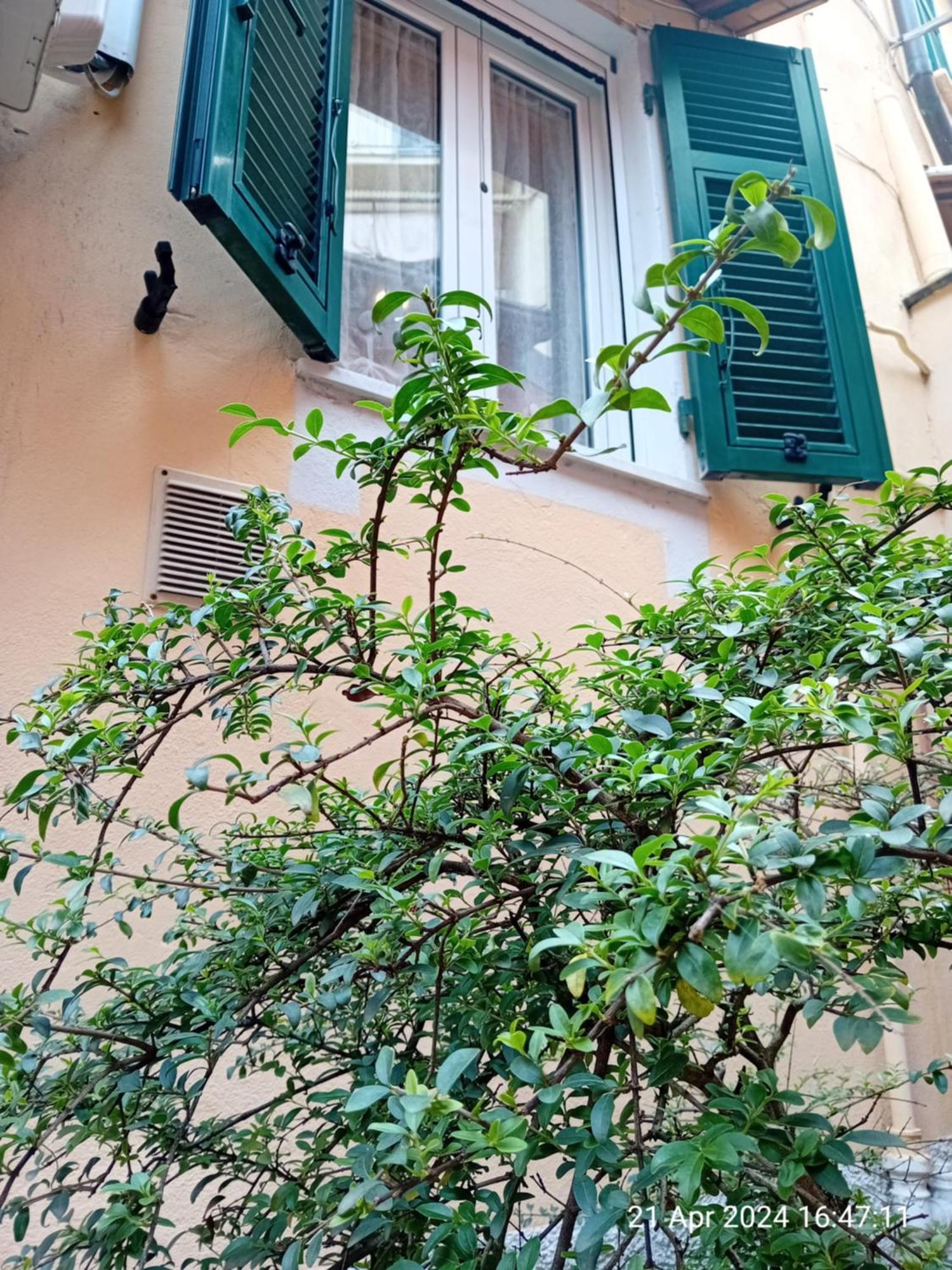 Appartamento Il Vicolo La Spezia Cinque Terre Екстериор снимка
